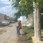 Erasmo ordena reforzar acciones de fumigación para combatir el dengue