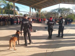 Con más de tres mil acciones operativas y de proximidad, el Agrupamiento Canino de la Guardia Estatal fortalece la prevención y combate al delito en Tamaulipas