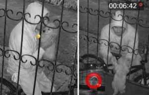 El beso que rompió corazones en redes