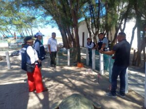 Fortalece Tamaulipas intercambio técnico para la conservación de la tortuga lora