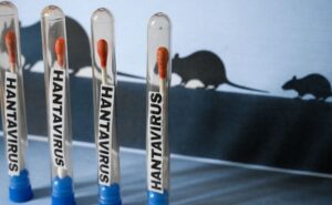 Preocupación internacional por el hantavirus.