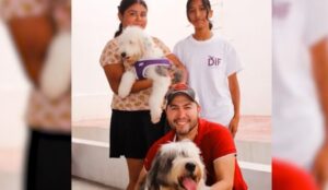 Promueve DIF Tamaulipas el cuidado responsable de las mascotas; impulsan campañas de concientización y atención veterinaria