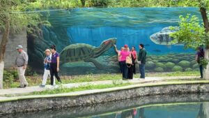Cumpliendo sueños con turismo social: Sectur