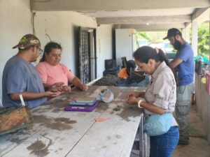 Promueve Gobierno del Estado desarrollo de la ostricultura en Soto la Marina