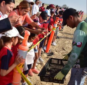 Liberan crías de tortuga lora niñas y niños de Güémez