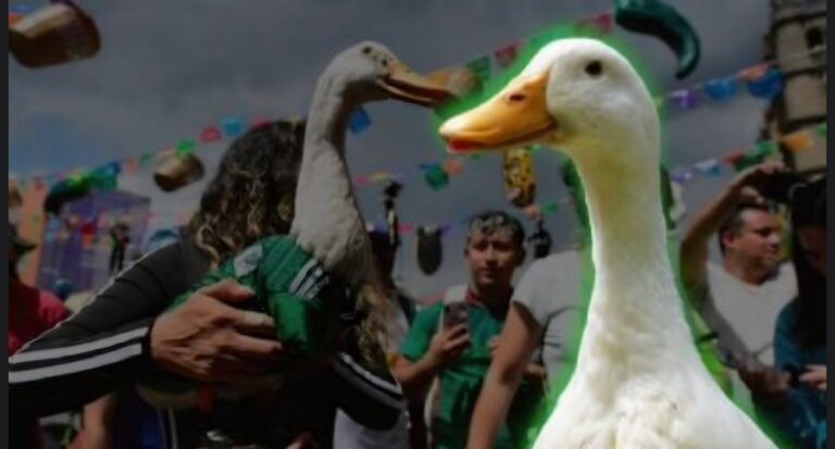 La triste historia de la hermana del famoso pato Merlín.
