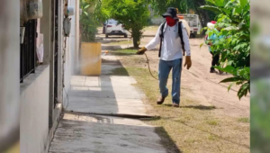 ¡Alerta contra el dengue! Ciudad Madero llama a reforzar acciones para frenar al mosquito transmisor