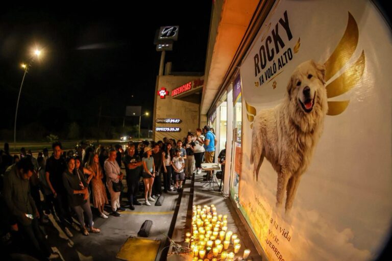 💔🐾 Con flores, veladoras y mucho cariño, dieron el último adiós a Rocky. 🕊️