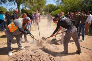 SUPERA GOBIERNO MUNICIPAL LOS 5 MIL ÁRBOLES PLANTADOS A TRAVÉS DE ARBOLEANDO NLD
